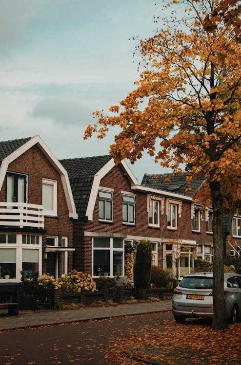 A tree-lined street with charming homes in New Cumberland