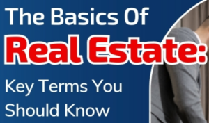The Basics Of Real Estate: Key Terms You Should Know - Infograph